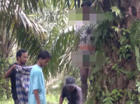 Warga Inhu Ditemukan Tergantung di Pelepah Sawit, Begini Kondisinya