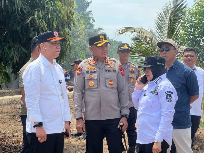 Polisi Tetapkan 4 Orang Tersangka Buntut Kerusuhan Aksi Massa di PT SSL Siak