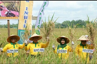 Lakukan Upsus Pajale Sejak 2015, Bupati Wardan: Produksi Padi Meningkat Dari Tahun ke Tahun