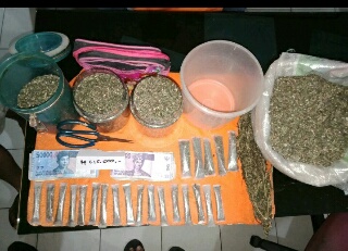 Belum Sempat Menikmati Hasil Panen Daun Ganja, Malah Keburu Diciduk