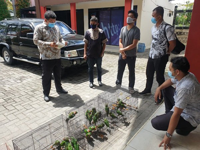  Jual Satwa Dilindungi di Medsos, Oknum ASN Pemprov Riau Diamankan