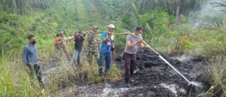 Gerak Cepat, Satgas Karhutla Berhasil Padakan Api dalam 2 Jam