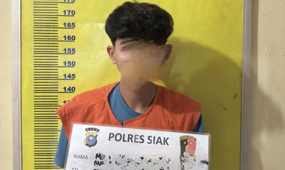 Polisi Ungkap Dugaan Persetubuhan Anak di Kandis, Pria 23 Tahun Berhasil Diamankan