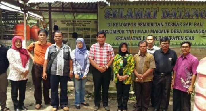 SPR Siak Hasilkan Emas Kuning Dan Emas Biru