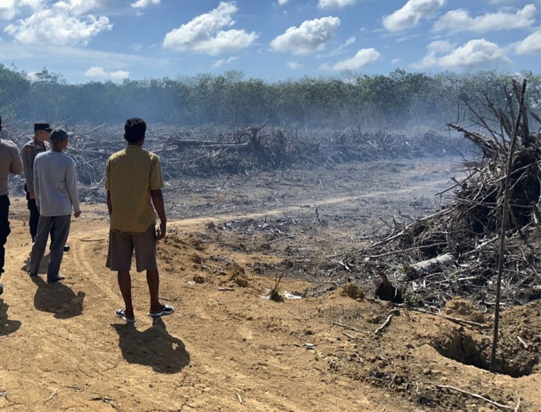 Polres Kuansing Tangkap Pelaku Pembakaran Lahan di Desa Pulau Kalimanting