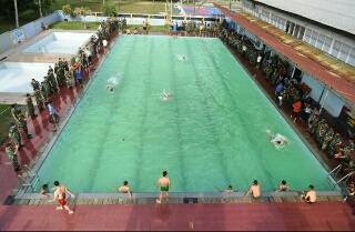 Vina Fardinal Support Team Olahraga Black Panther 