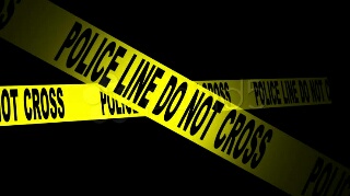 Diteror OTK, Kediaman Humas Kejati Riau Dilempar Kepala Anjing