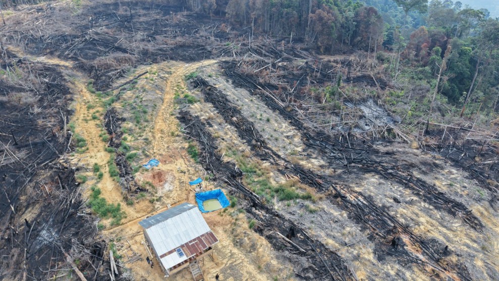 Polres Rohul Tangkap Pelaku Pembakaran Lahan di Hutan Produksi Terbatas Tanjung Medan.