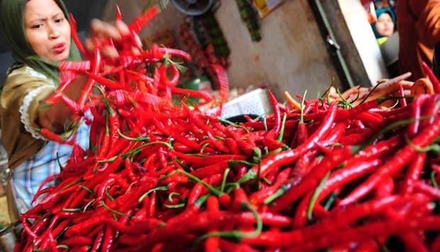 Harga Anjlok, Warga Berbondong Bondong Beli Cabai Merah