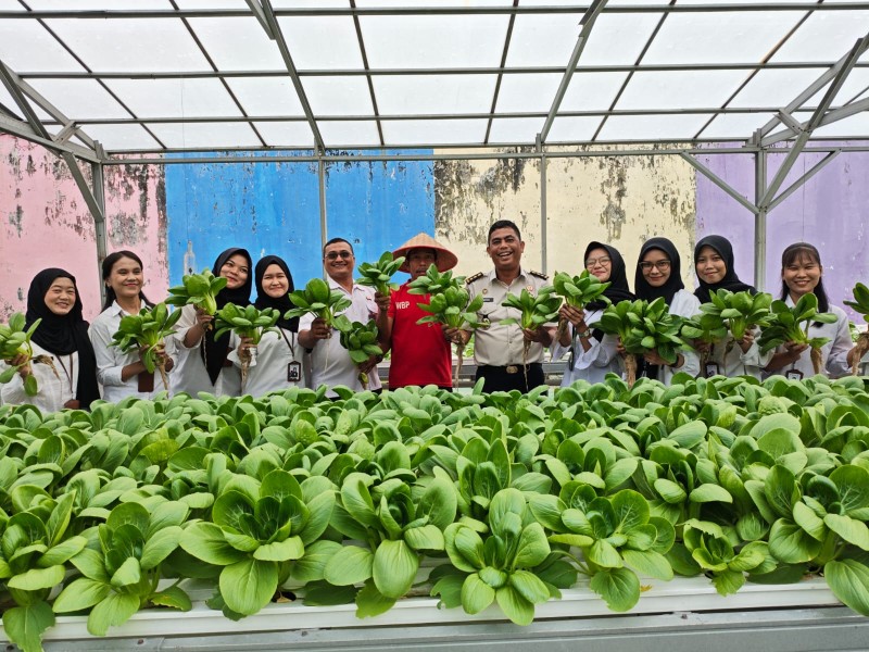 Bukan Cuma Dibina, Warga Lapas Pekanbaru Kini Panen Pak Coy