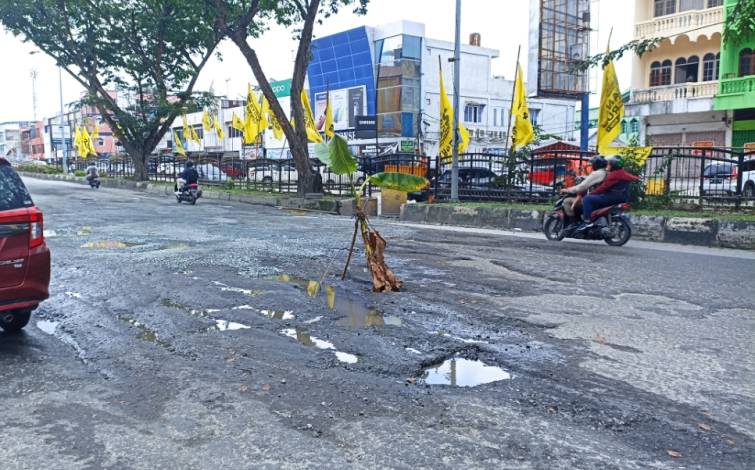 Warga Tanam Pohon Pisang di Ruas Jalan Sudirman Pekanbaru