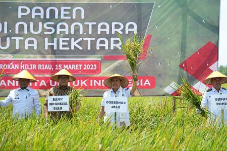 Gubernur Syamsuar Panen Raya Padi Nusantara 1 Juta Hektar di Rimba Melintang