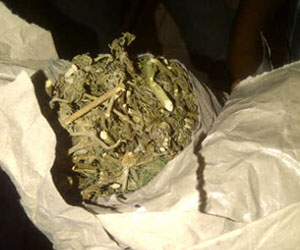 Polsek Mandau Ringkus Seorang Pria Diduga Bandar Ganja