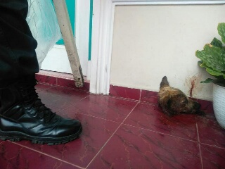 Pelaku Teror Kepala Anjing kepada Pejabat Kejati Riau Berhasil Ditangkap Polda Riau