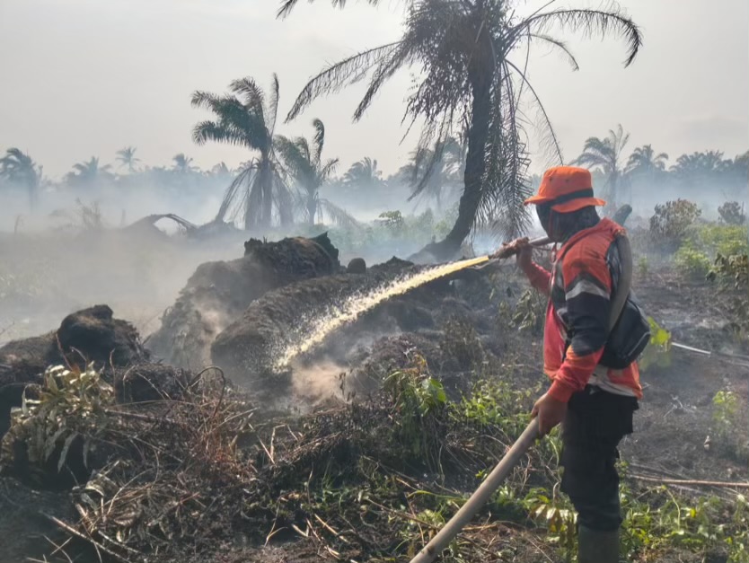 80 Titik Hotspot Terdeteksi di Inhil, Gaung Jadi Wilayah Paling Rawan