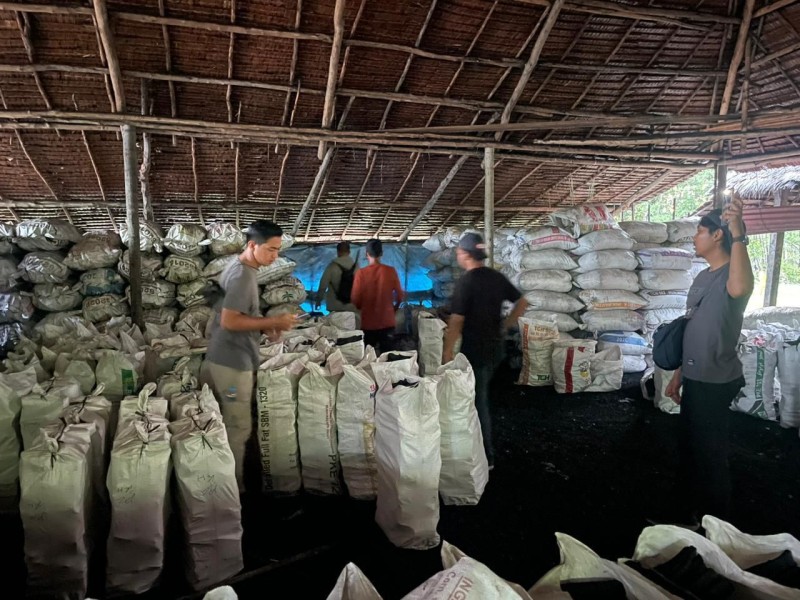 Polda Riau Bongkar Perusakan Mangrove di Meranti, Dua Pemilik Dapur Arang Ilegal Ditangkap