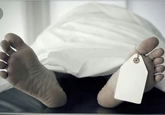 Tak Hanya Ternak yang Mati, Satu Keluargapun Tewas akibat Jeratan Listrik Babi