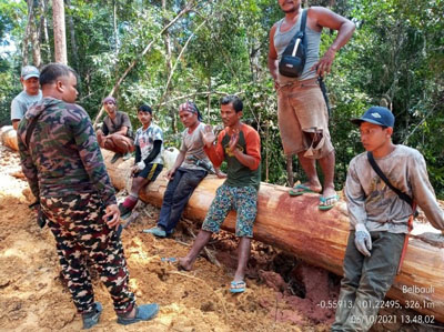 KLHK Hentikan Penebangan Ilegal di Suaka Margasatwa Bukit Rimbang Bukit Baling