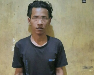 Cabuli Anak Tetangga, Pemuda di Inhu Ditangkap Polisi
