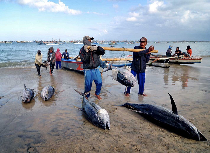 Pemprov Riau Fokus Garap Potensi Perikanan 