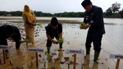  Wabup Kuansing Sebut Simandolak Bisa Swasembada Pangan