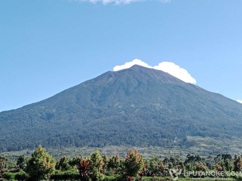 Harimau dan Mitos Datuk Sang Penjaga Gunung Kerinci, Pendakiannya Melelahkan Tapi Dirindukan