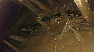 Warga Di Inhil Diresahkan Buaya yang Mendekati Pemukiman 