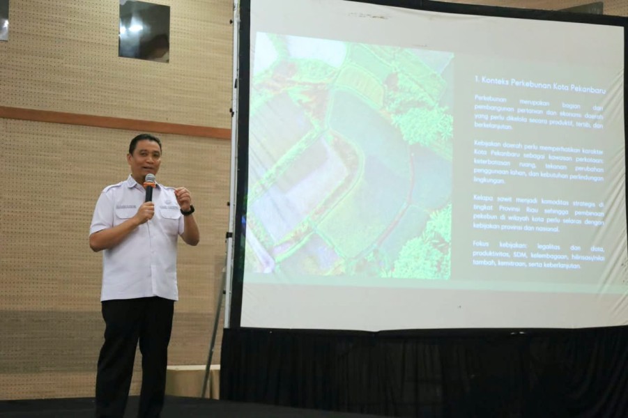 RAD-KSB Jadi Jurus Pekanbaru Kelola Sawit,  Menaikkan Pendapatan Tanpa Buka Lahan Baru