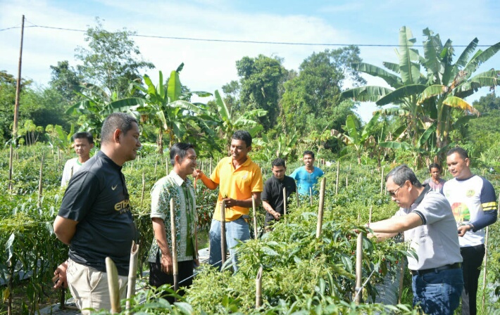 Bupati Syamsuar: Cabai Siak tak kalah dengan cabai didaerah lain