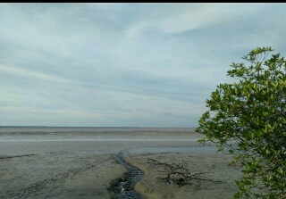 Indahnya Pantai Beting & Hutan Mangrov Tanjung Layang, Potensi Wisata Bahari Yang Tersembunyi