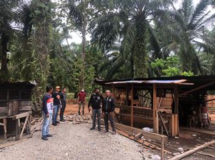 Polres Siak Tangkap Pelaku Ilegal Logging, Diduga Babat Cagar Biosfer Giam