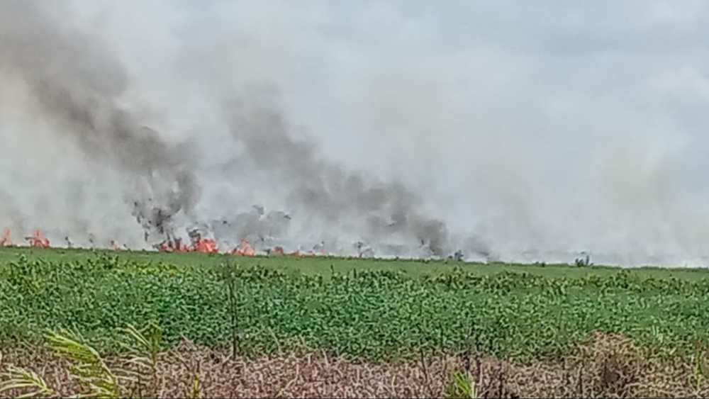 Lahan Gambut di Skip Hilir Rengat Inhu Terbakar, Manggala Agni Turunkan Tim Pemadam