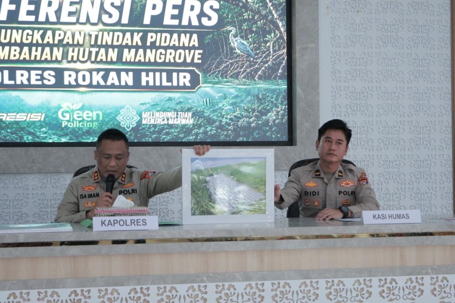 Polres Rokan Hilir Bongkar Perambahan Hutan Mangrove, Satu Tersangka Diamankan