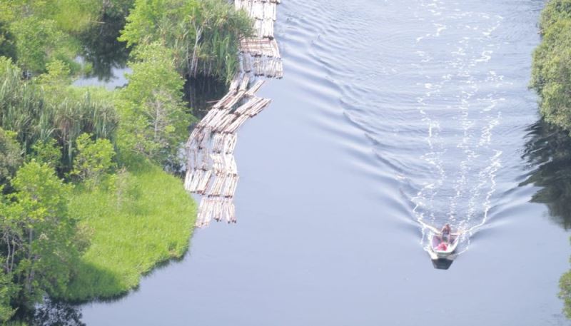 Dari 10 Kasus, Polda Riau Tetapkan 16 Orang Tersangka Ilegal Loging