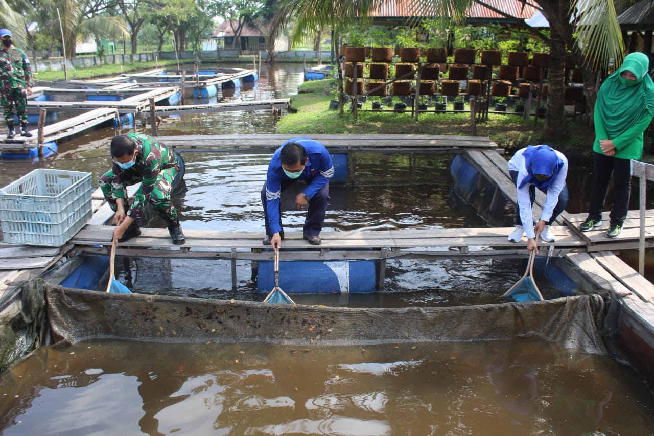 Manager PLTU Tembilahan dan Dandim Panen Perdana Lele Hasil Budidaya Keramba Terapung