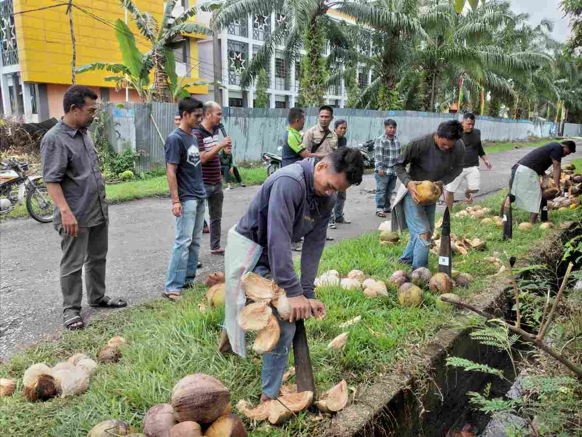 Masyarakat dan OPD di Inhil Ikuti Lomba Menyolak dan Membuat Minyak Goreng dari Kelapa