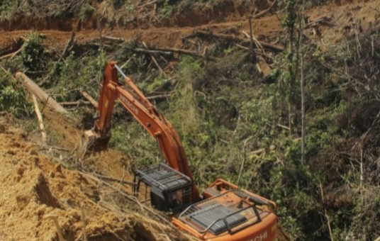 Ironis!!! Disaat Kejagung Bongkar Perkara Duta Palma, Kementrian LHK Malah Sibuk Mau Ampuni Perkebunan & Tambang Ilegal, Ada Apa?