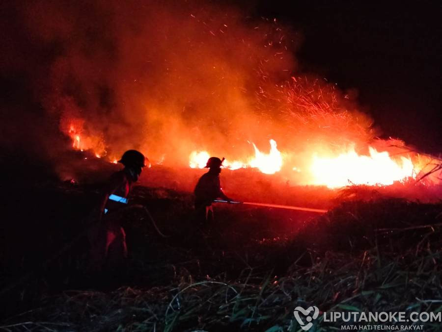 Karhutla di Riau Belum Terkendali, Hotspot Terbanyak di Kabupaten Inhu