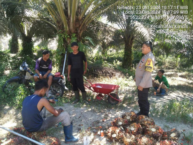 Wujudkan Pilkada Damai 2024, Polsek Kandis Terus Gencar Lakukan Cooling System