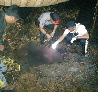 Kakek ini Ditemukan Terbakar oleh Cucunya Setelah Beberapa Hari Dicari