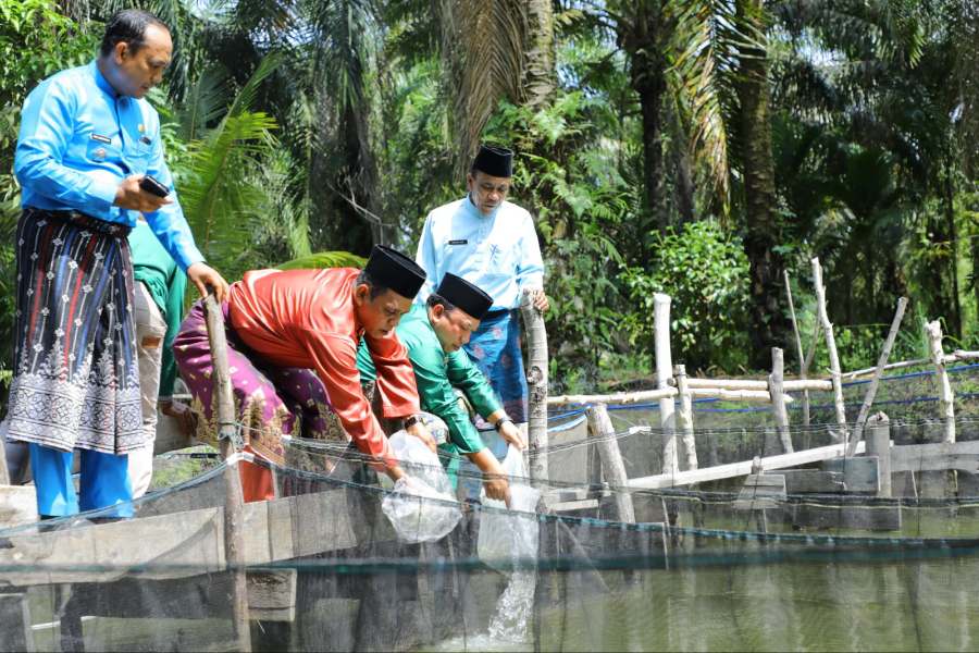 Potensi Perikanan di Sabak Auh Menjanjikan, Wabup Husni: Ini Jadi Perhatian Kita