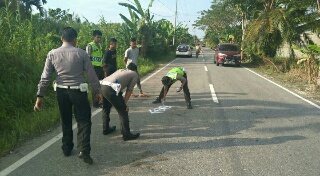 Tak Sanggup Mengelak, Motor Adu Kambing, Satu Tewas 