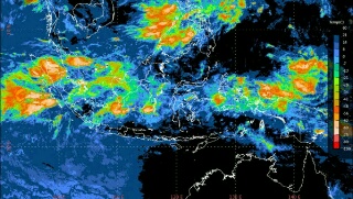 50 Hotspot Terpantau di Riau, Terbanyak di Bengkalis